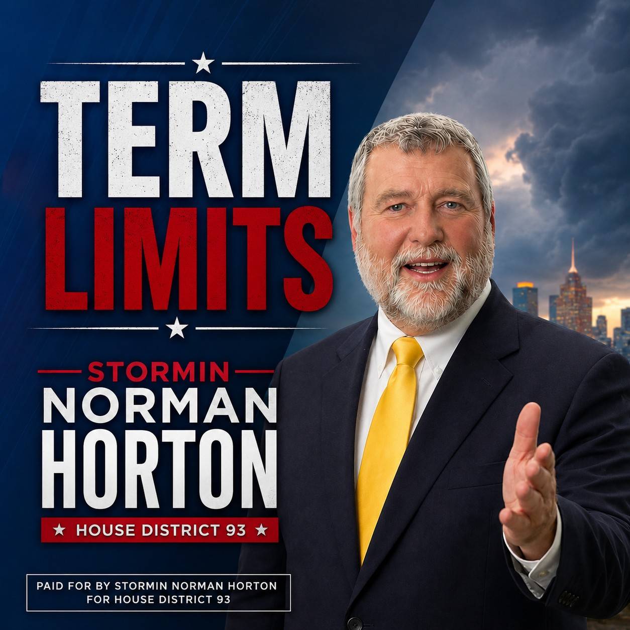 stormin term limit